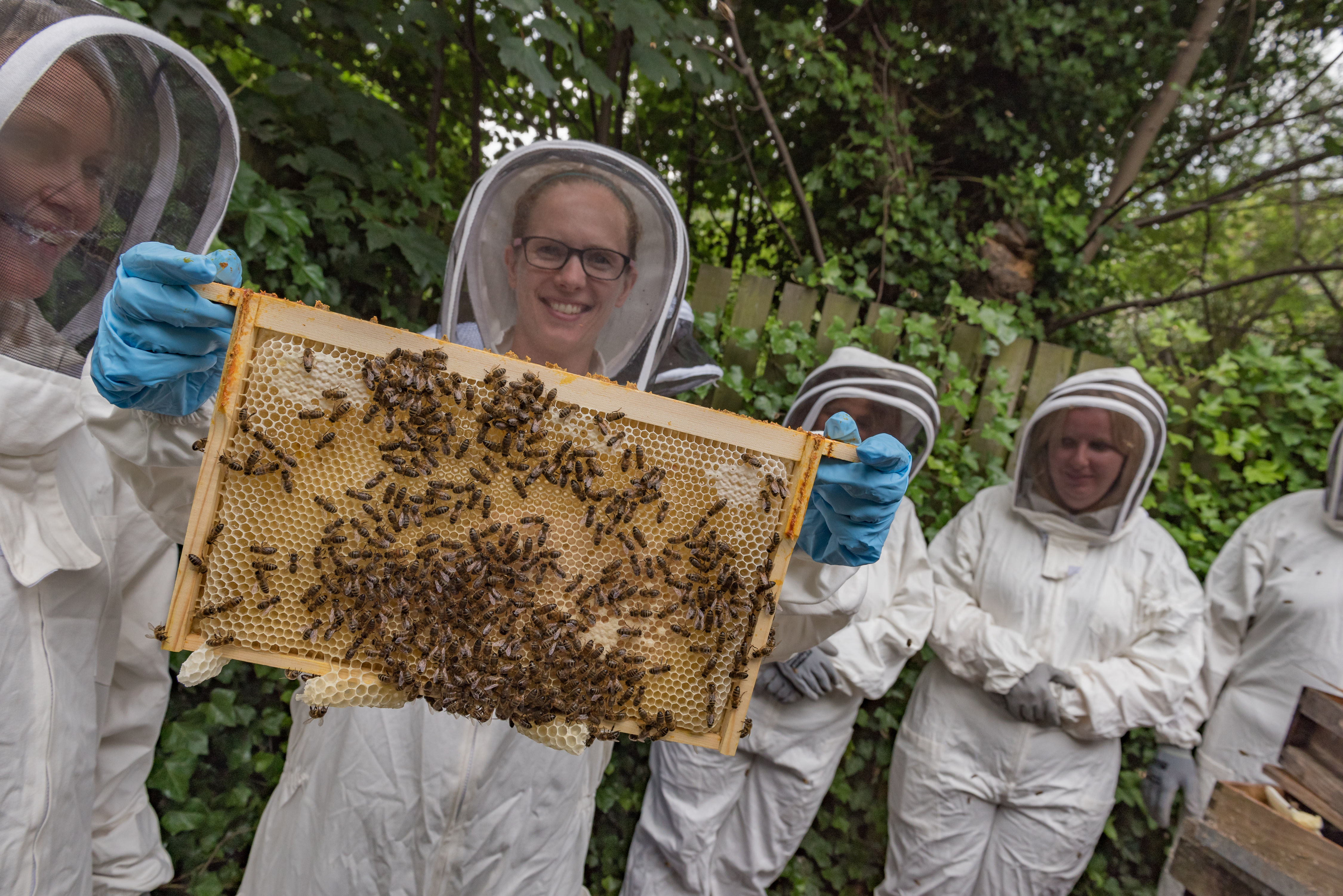 Beekeeping