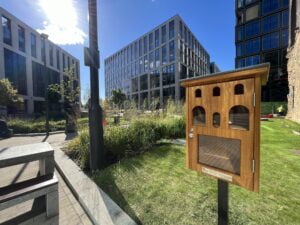 little free library