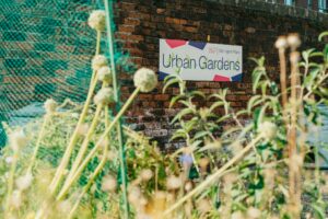 Urban Gardens