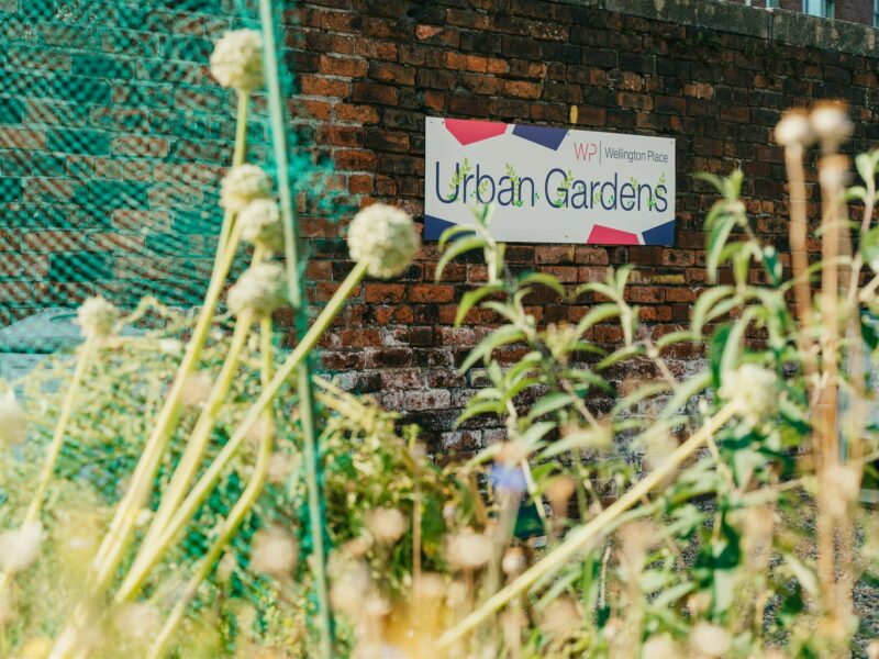 Urban Gardens